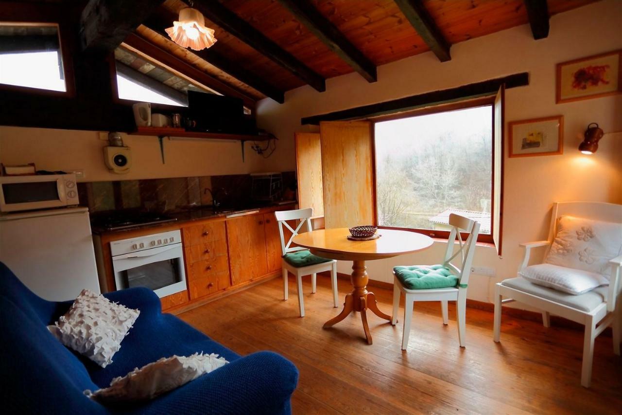 La Cabana Del Moli De La Plana Riudaura Extérieur photo