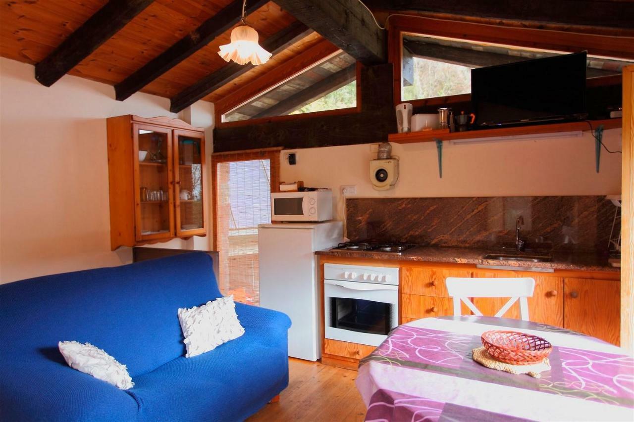 La Cabana Del Moli De La Plana Riudaura Extérieur photo